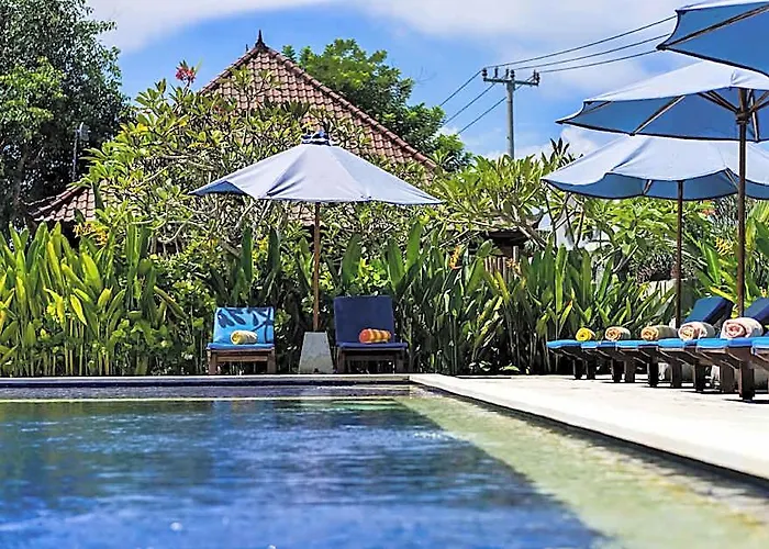 Vakantiepark The Cozy